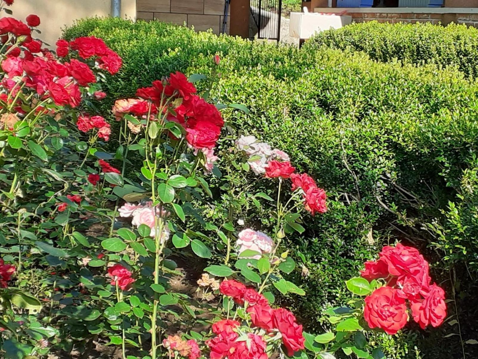 Smjestaj Na Selu,Porodica Gvozdenac Apartment Sipovo Bagian luar foto